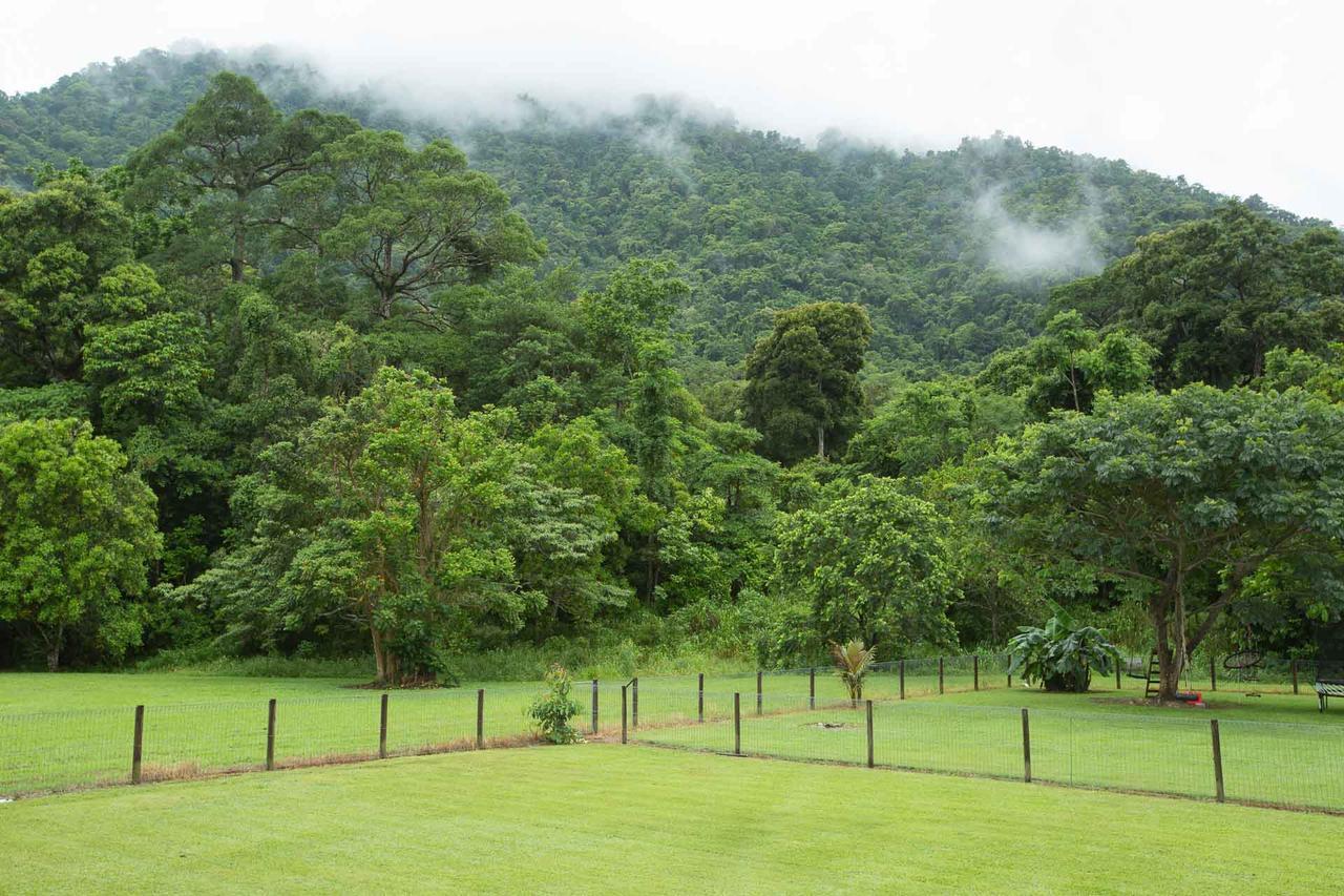 Cairns Homestead Redlynch Pet And Family Friendly Exterior foto